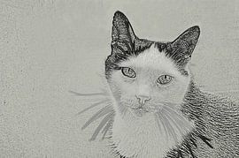 Cat Mickey by Gera Wijlens