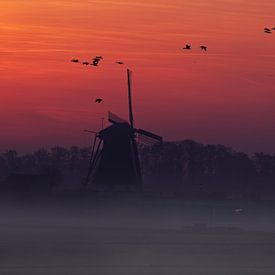 Moulin à tourbe sur Pictures by Van Haestregt