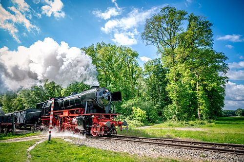 Steam train locomotive driving in the countryside by Sjoerd van der Wal Photography