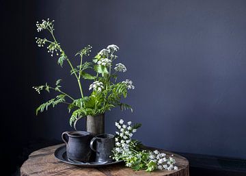 Still life with cow parsley [horizontal]. by Affect Fotografie