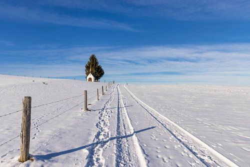 Winterwandeling naar de Fatima Kapel