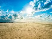 Sandsturm am Strand von Sankt Peter-Ording von Animaflora PicsStock Miniaturansicht