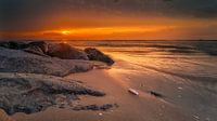 Gouden Sunset