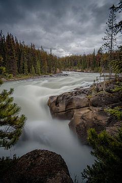 Wilder Fluss von Leon Brouwer