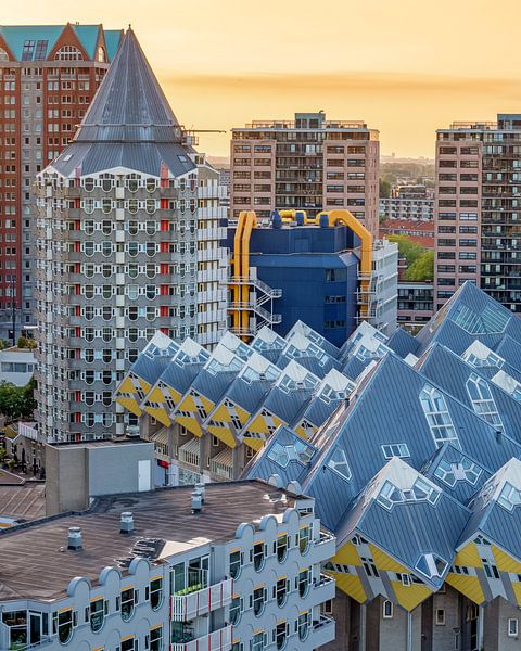 Uitzicht vanaf het dak van het Witte Huis in Rotterdam van Annette Roijaards
