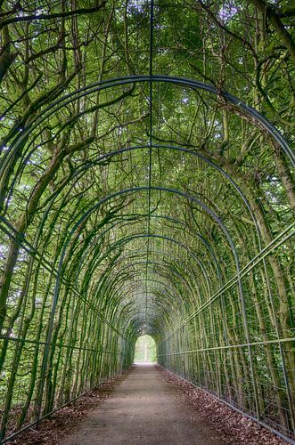 Green tunnel