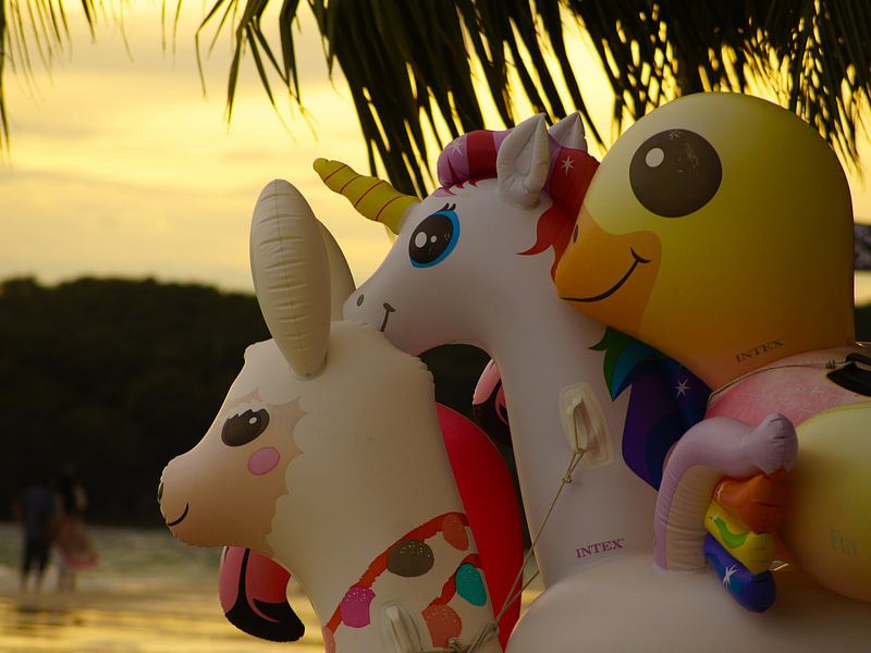 Summer light with a smile by Niek Traas