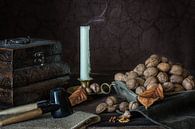 nut shell by Sergej Nickel thumbnail