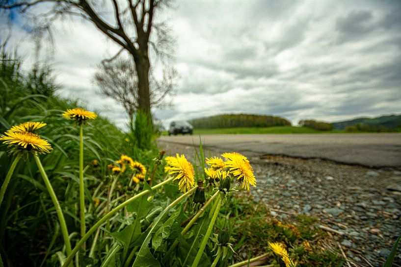 Landschap in het Erzgebergte van Johnny Flash