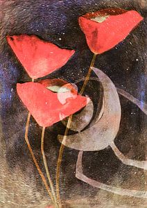 Mohn  - Abstraktion