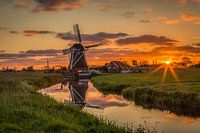 Mill De Jonge Held Sleep silent