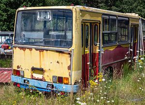 Alter Bus auf dem Busfriedhof