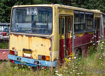 Oude bus op het buskerkhof van Animaflora PicsStock