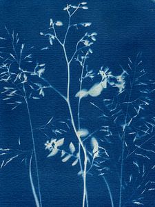 Chuchotements en bleu
