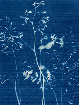 Whispers in Blue by Piret Victoria Ribas Photography