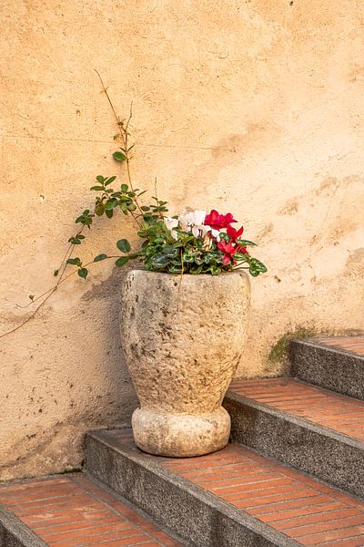 Tuscan Terracotta pot with flowers by Stefania van Lieshout