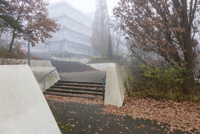 Spätherbst in Hamburg 2 von Marc Heiligenstein