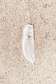Peace found by the sea by Nienke van Denderen