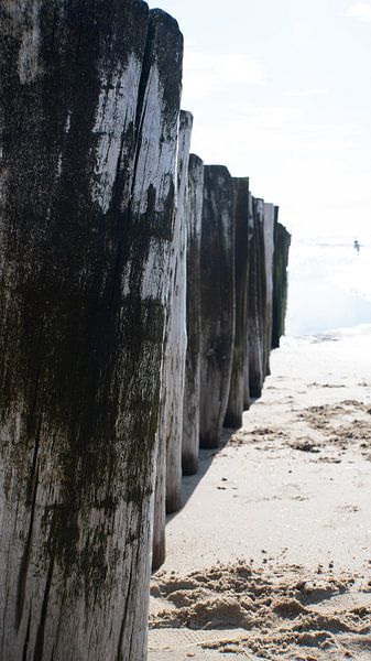 Close-up wave breakers by Wendy Duchain