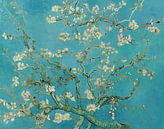 Mandelbaum in Blüte - Vincent van Gogh sur Schilders Gilde Aperçu
