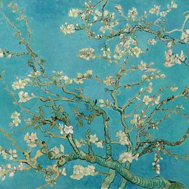 Mandelbaum in Blüte - Vincent van Gogh