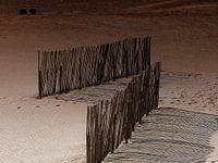 Zand,schaduw en riet.