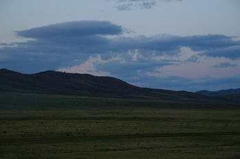 scherming op de steppe