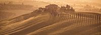 Panorama van een heuvel landschap in Toscane met warm avondlicht op een zomerse dag van Bas Meelker thumbnail