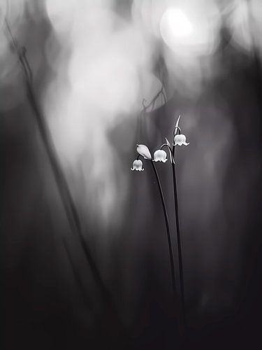 Fleurs d'humeur
