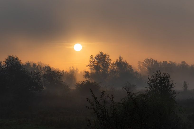 magical sunrise by Tania Perneel