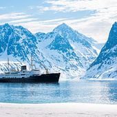 Arctique