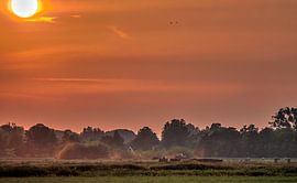 Red dust von Verliefd op Utrecht
