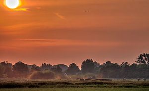 Red dust