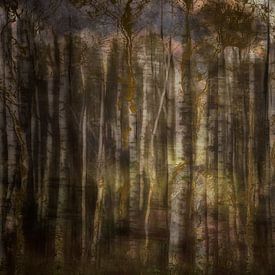 Birkenwald in märchenhafter Atmosphäre von Jeannet Zwols  Fotografie