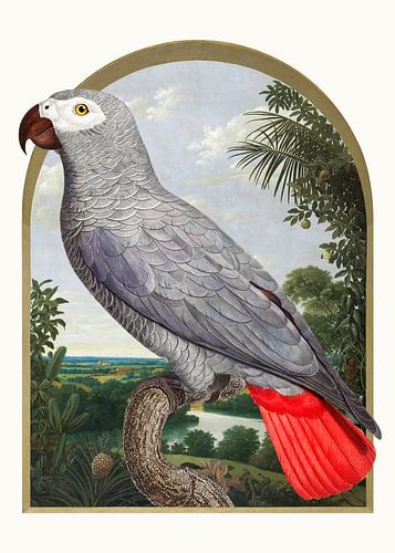 Parrot in the Archway by Marja van den Hurk