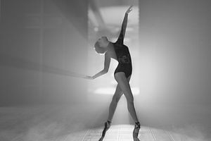 Tanz mit dem Licht von Arjen Roos