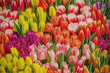 Abstract tulips sur eric van der eijk