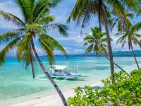 Palm trees, turquoise sea and beach in Siquijor, the Philippines