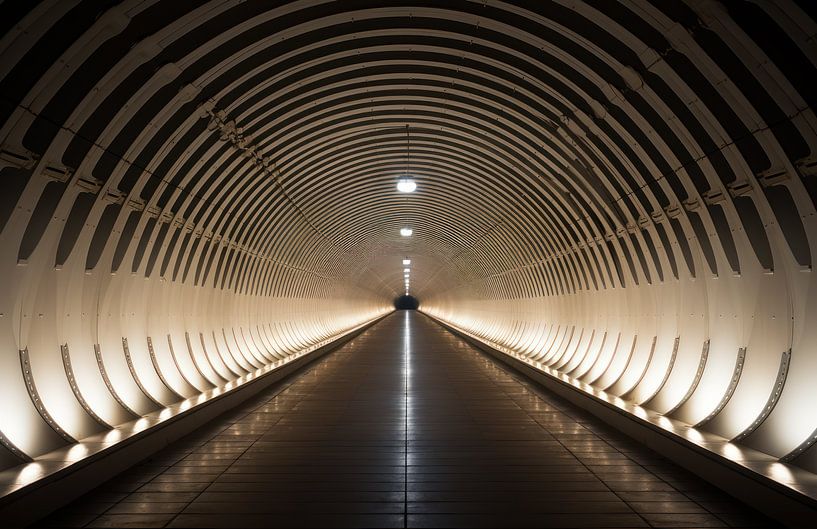 Tunnel vision 09 by Ellen Reografie