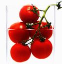Frische Tomaten im abstrakten Küchenstillleben von Tanja Riedel Miniaturansicht