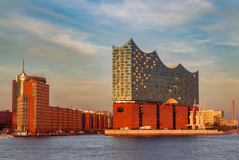 Elbphilharmonie in Hamburg von Dirk Rüter