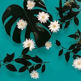 Tropische Gedanken von Nikki Segers