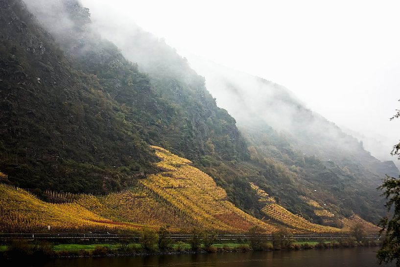 Mountain peaks in the fog on the Mosel river by Moo pix