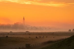 Orangene Ansicht der Cunerakerk Rhenen