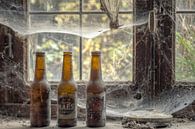 Verlaten plaats - bier met spinnenwebben van Carina Buchspies thumbnail