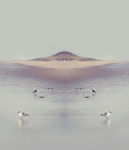 LOVE the OCEAN IV, HFa