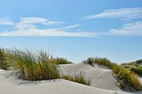 Dunes on Terschelling