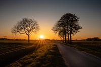 Zonsondergang Haarsteeg Polder