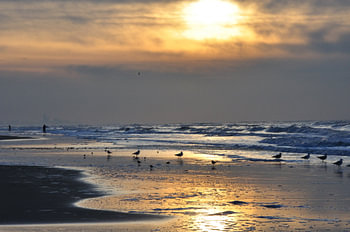 Sunset North Sea coast