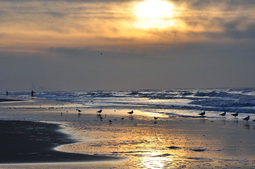 Sonnenuntergang an der Nordseeküste von Fred van den Brink